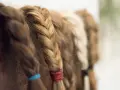 Haare spenden: Welche Mindestlänge zählt? Ihr Guide