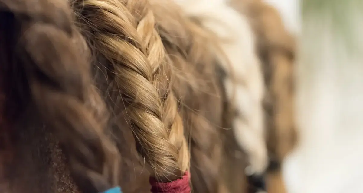 Haare spenden: Welche Mindestlänge zählt? Ihr Guide