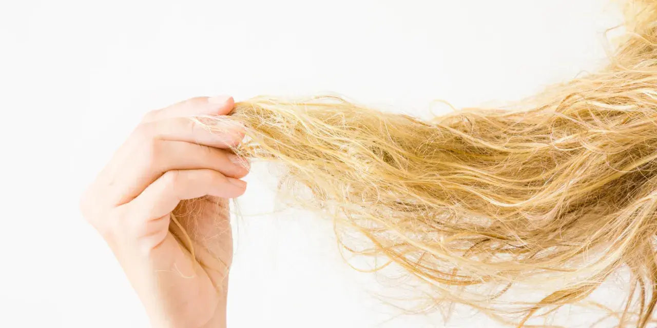 Hand hält eine Strähne blonden, trockenen Haares vor weißem Hintergrund.