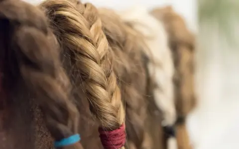 Haare spenden: Welche Mindestlänge zählt? Ihr Guide
