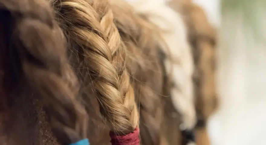 Haare spenden: Welche Mindestlänge zählt? Ihr Guide