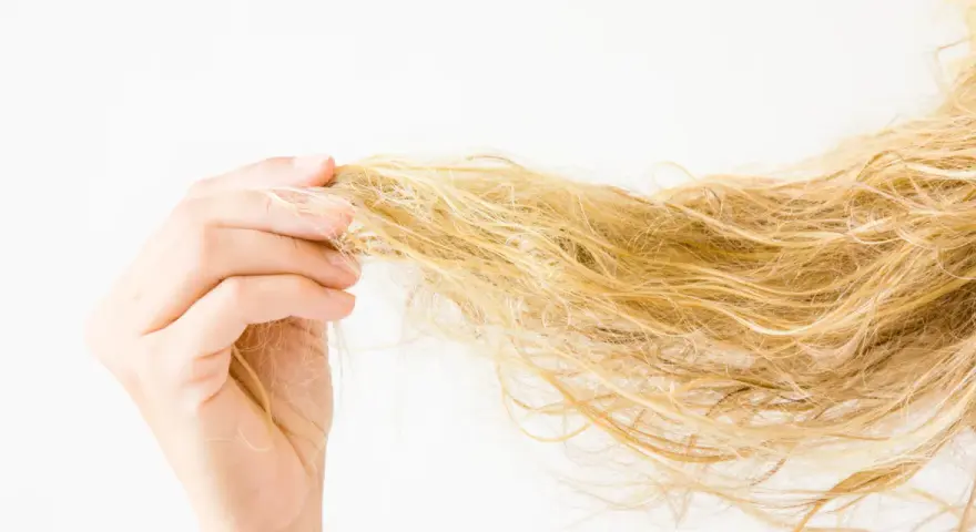 Hand hält eine Strähne blonden, trockenen Haares vor weißem Hintergrund.