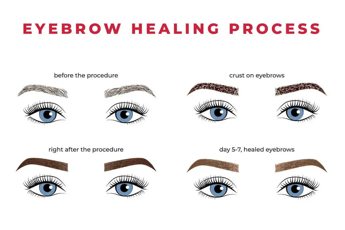 Permanent Make up Augenbrauen Heilungsprozess Tag f&uuml;r Tag